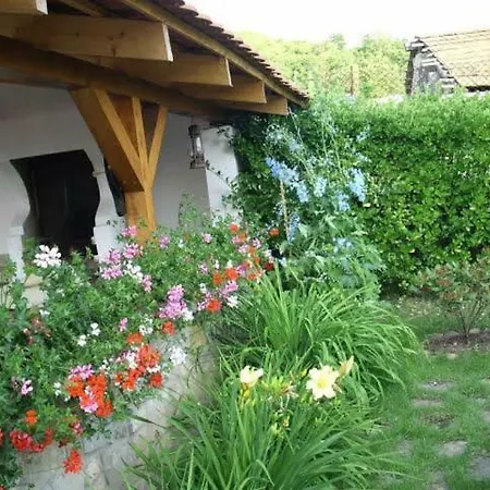 Rákóczi Noszvaj